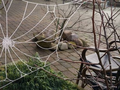 Foto: Altes Voss
